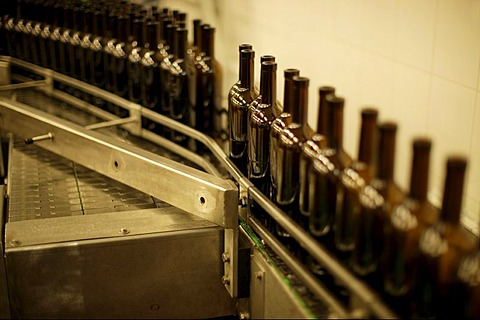 Wine bottles on production line