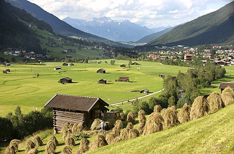 Hay harvest in Neustift in Stubai Valley, Tyrol, Austria, Europe