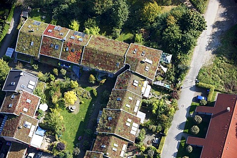 Greened roofs of one-familiy houses and multi-family houses, estate, Muenster, North Rhine-Westphalia, Germany, Europe