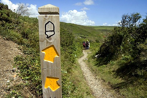 Acorn symbol on South West Coastal Path near Praa Sands, Cornwall, England, Great Britain, Europe