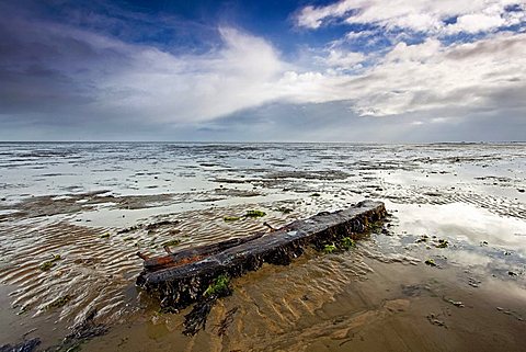 Old piece of wood in mud-flats near Keitum, Sylt Island, Schleswig-Holstein, Germany, Europe