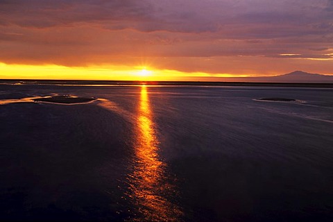 Laguna Chaxa at Sunset, Salar de Atacama, Chile, South America