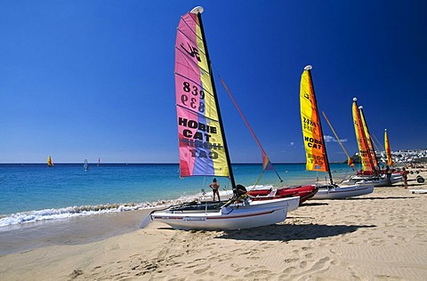 Catamaran on the beach of Jandia, Fuerteventura, Canary Islands, Spain, Europe