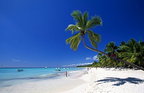 Palm beach on Saona Island, Parque Nacional del Este, Dominican Republic, Caribbean