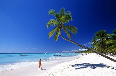 Palm beach on Saona Island, Parque Nacional del Este, Dominican Republic, Caribbean