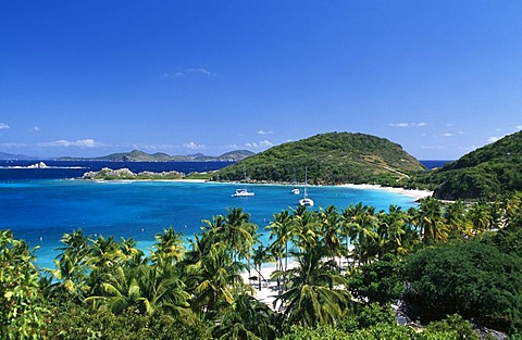 Palm trees on a beach on Peter Island, British Virgin Islands, Caribbean