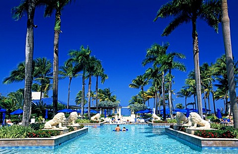 Pool, Ritz Carlton Hotel in San Juan, Puerto Rico, Caribbean