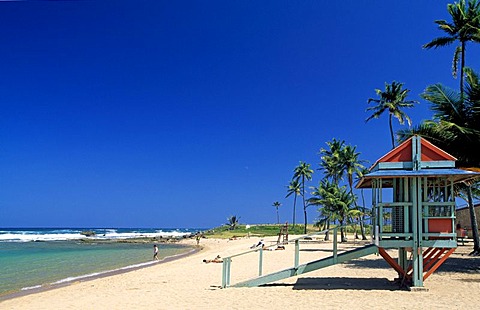 Beach with palm trees, Luquillo Beach, Puerto Rico, Caribbean