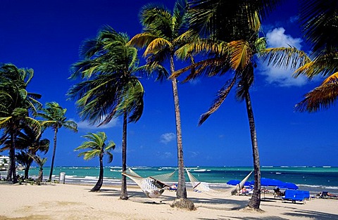 Beach with palm trees near San Juan, Puerto Rico, Caribbean