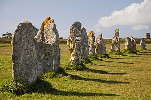 Menhirs, Les Alignements de Lagatjar near Camaret-sur-Mer, Crozon peninsula, Finistere, Brittany, France, Europe