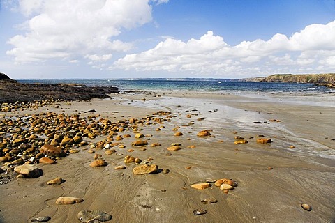 Natural beach near Camaret-sur-mer, Crozon peninsula, Finistere, Brittany, France, Europe