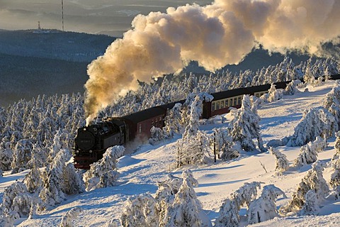 Harz narrow-gauge railroad in a wintery forest, steam engine, Brocken, Blocksberg, Harz National Park, Saxony-Anhalt, Germany, Europe