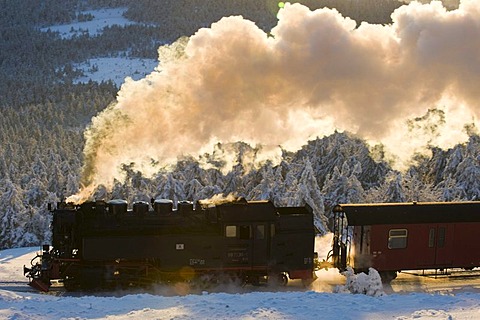 Harz narrow-gauge railroad in a wintery forest, steam engine, Brocken, Blocksberg, Harz National Park, Saxony-Anhalt, Germany, Europe