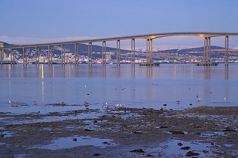 The strait of Tromsoysundet, Tromso Sound with Tromso Bridge, Tromsobrua, polar night, winter, Tromso, Troms, Norway, Scandinavia