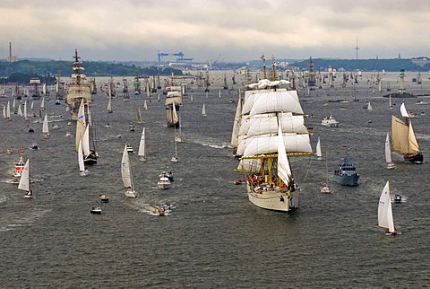 Winderjammer Parade at Kieler Woche 2008 with German sail training vessel and command ship Marine Gorch Fock and further traditional sailing vessels, Kiel Fjord, Schleswig-Holstein, Germany, Europe