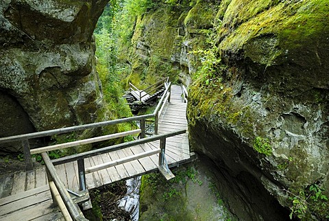 Wooden staircase, Marienschlucht, Mariaschlucht, ravine, between Bodman-Ludwigshafen and Wallhausen, Bodanrueck Peninsula, county Konstanz, Baden-Wuerttemberg, Germany, Europe