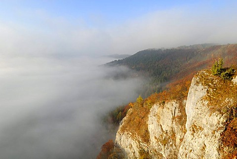 Early morning fog over upper Danube valley, county Sigmaringen, Baden-Wuerttemberg, Germany, Europe