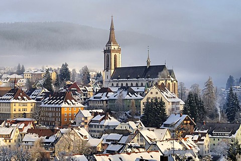 View of Neustadt in the Black Forest, Breisgau-Hochschwarzwald county, Baden-Wuerttemberg, Germany, Europe