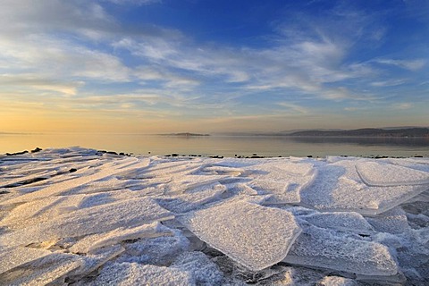 Sheets of ice on the shore of Reichenau Island, Konstanz district, Baden-Wuerttemberg, Germany, Europe