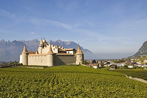 Chateau d'Aigle in the vineyards close to Lausanne, Kanton Waadt, Switzerland, Europe