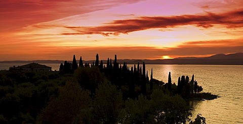 Old villa and Cypresses on the shore of Lake Garda, Lago di Garda, Lombardy, Italy, Europe