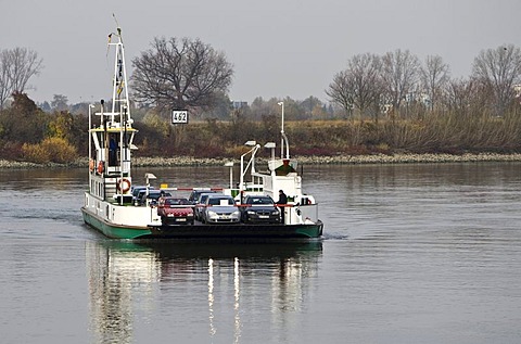 Car ferry on the Rhine transporting cars from Rhineland-Palatinate to Hesse near Gernsheim, Hesse, Germany, Europe