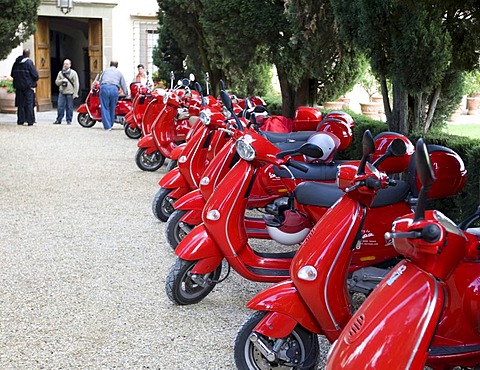 Red scooters on a cypress tree-lined path at the Verrazzano Vineyard, Chianti, Province of Florence, Firenze, Tuscany, Italy, Europe