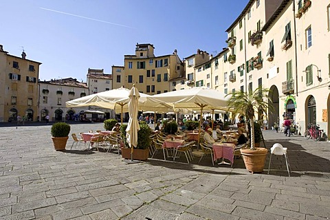 Restaurant on the Piazza del Anfiteatro Square, Piazza Mercato Square, Amphitheatre, Lucca, Tuscany, Italy, Europe