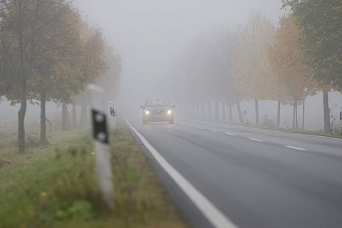 Car driving with dimmed headlights on a country road in dense fog, Hesse, Germany, Europe