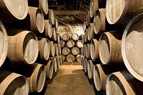 Oak barrels filled with port wine of Graham's Port Wine House on Rua Rei Ramiro, Vila Nova Gaia, Porto, UNESCO World Cultural Heritage Site, Portugal, Europe - Propertyrights www.symington.com JD@symington.com