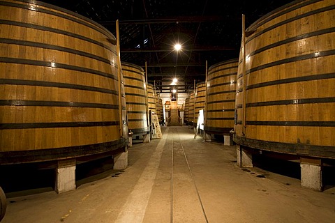 Oak barrels filled with port wine of Graham's Port Wine House on Rua Rei Ramiro, Vila Nova Gaia, Porto, UNESCO World Cultural Heritage Site, Portugal, Europe - Propertyrights www.symington.com JD@symington.com