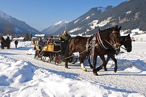 Horses pulling a sleigh between the towns of Ehrwald and Lermoos, Tyrol, Austria, Europe