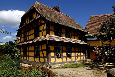 Historic Alsation half-timbered house, eco-museum, Ungersheim, Alsace, France, Europe