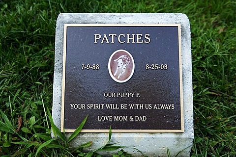 Gravestone of a dog in a pet cemetery, Blairstown, New Jersey, USA