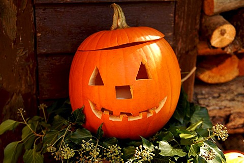 Pumpkin (Cucurbita pepp var. patisson) carved face, Hersbruck, Bavaria, Germany, Europe