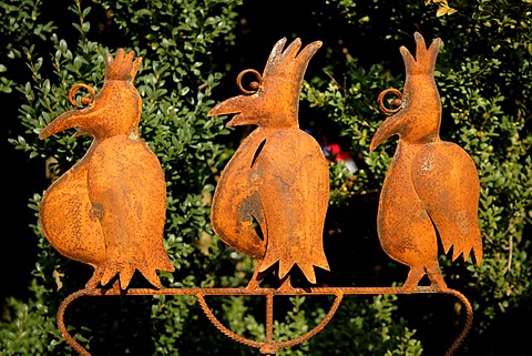 Rusted fantasy birds made of metal in a garden exhibition, Wachenroth, Middle Franconia, Bavaria, Germany, Europe