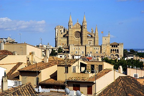 La Seu, the predominantly Gothic west front of the cathedral, residential buildings in the foreground, historic city centre, Ciutat Antiga, Palma de Mallorca, Mallorca, Balearic Islands, Spain, Europe