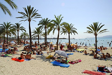 Holiday-makers at the Platja de Arenal, beach with palm trees, Mallorca, Balearic Islands, Mediterranean Sea, Spain, Europe