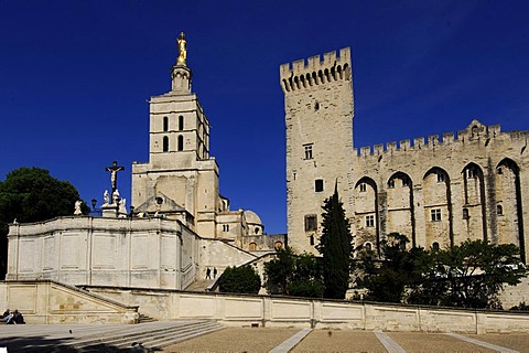 The Popes' Palace in Avignon, Provence, France, Europe