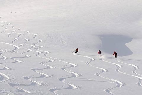 Ski hikers descending from the peak of Mount Joel, skiing tracks, slalom tracks, powder snow, Wildschoenau, Tyrol, Austria, Europe