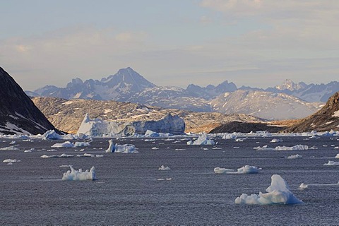 Icebergs in the Johan Petersen Fjord, East Greenland, Greenland