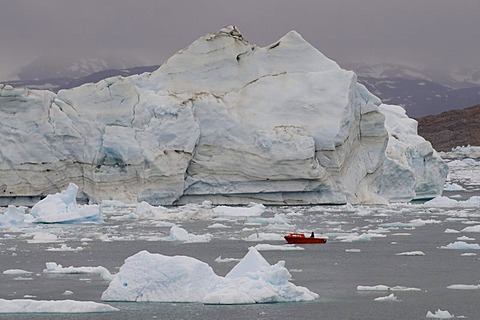 Icebergs in the Johan Petersen Fjord, East Greenland, Greenland