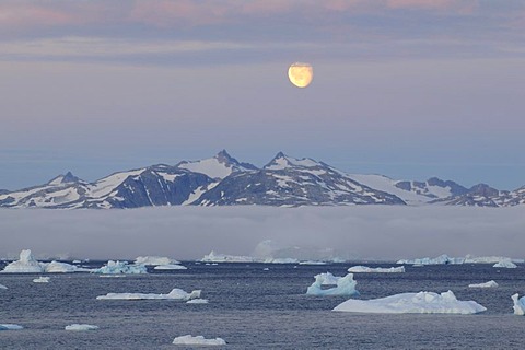 Johan-Petersen Fiord, East Greenland