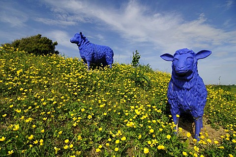 Art, blue sheep near the Amsinck House, North Frisia, North Sea, Schleswig-Holstein, Germany, Europe
