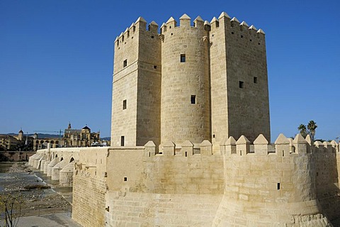 Torre de la Calahorra Tower, Cordoba, Andalusia, Spain, Europe