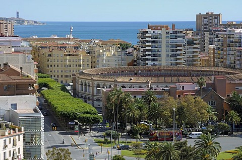 Plaza de Toros, Malaga, Andalusia, Spain, Europe