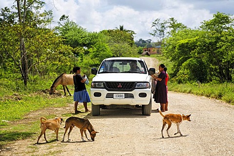 Local women selling souvenirs to tourists in a Mitsubishi car, dogs, horse, unmade road, Punta Gorda, Belize, Central America, Caribbean