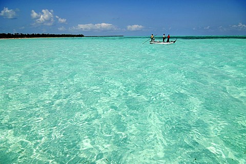 Near Bangaram Island, Lakshadweep, Arabian Sea, India, Asia