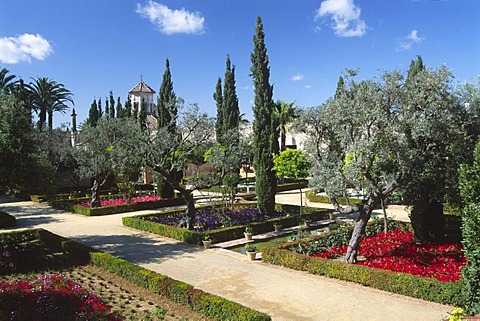 Gardens in Alcazar, Jerez de la Frontera, Andalusia, Spain, Europe
