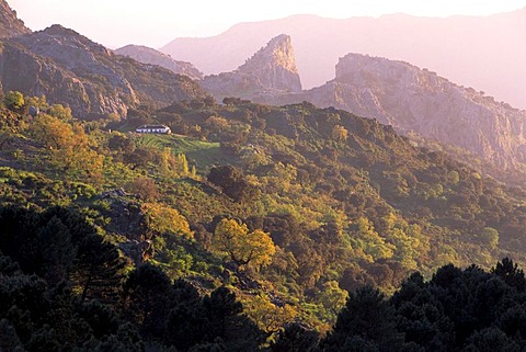 Sierra de Grazalema, Grazalema Nature Park, Andalusia, Spain, Europe